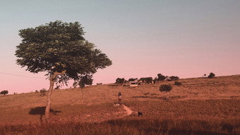 Galeria 4 - Marlina the Murderer in Four Acts