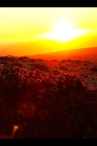 Todos tienen algo Desierto (2011) Todos tienen algo Desierto (2011)