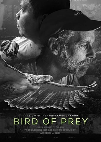 Poster för Bird of Prey