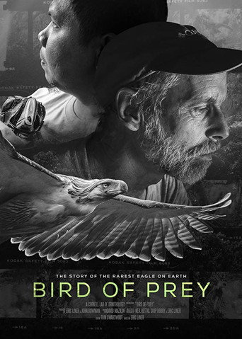 Bird of Prey (2018)