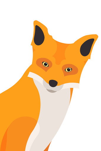 Cheddar Fox