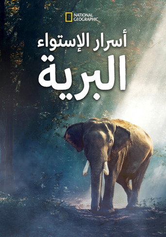 ملصق أسرار الإستواء البرية