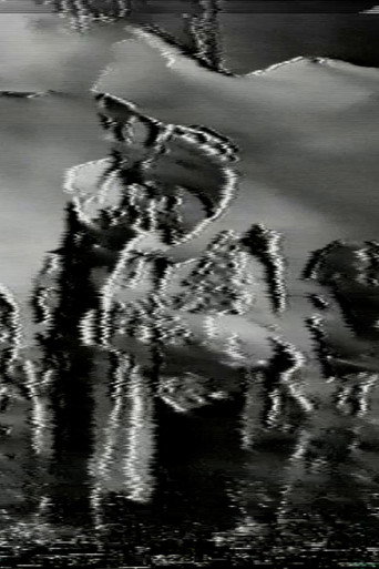 1/4 / C regeneraciones de VHS a VHS