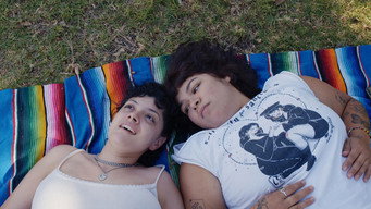 Mija media image