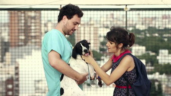 Tarde media image