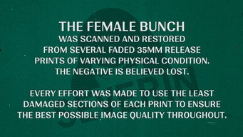 #8 The Female Bunch