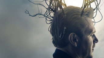 Galeria 4 - The Discovery