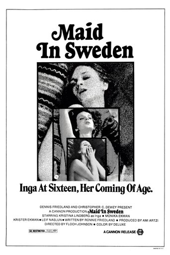 Poster of Maid in Sweden