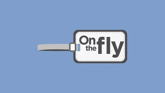 On the Fly (2012)