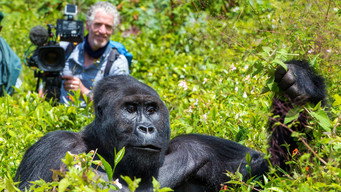 Gorilla Family & Me (2015)