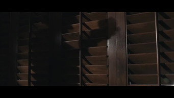 Deadly Promises (2021)
