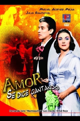 Amor se dice cantando poster