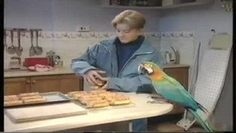 Harry's Mad (1993-1996)