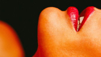 Galeria 2 - La Maison