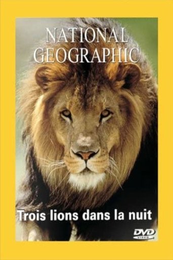 National Geographic : Trois lions dans la nuit