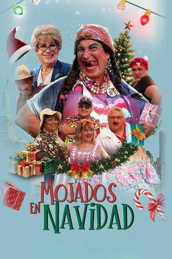 movie poster for Mojados en Navidad