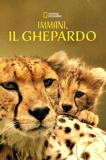 The Way of the Cheetah