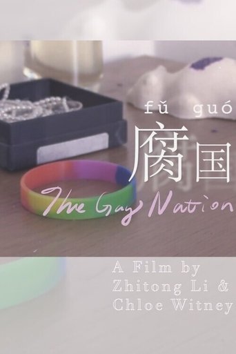 The Gay Nation poster