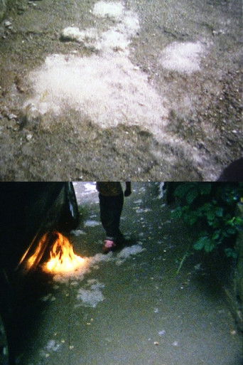 Rite of spring poster