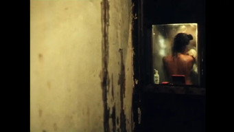 Листоноша (1995)