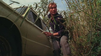 Амерікен бой (1992)