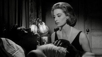 Galeria 4 - La gata negra