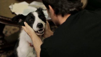 Angel Dog (2011)