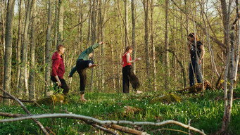 #10 Once Upon a Time in a Forest