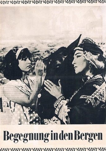 შეხვედრა მთაში