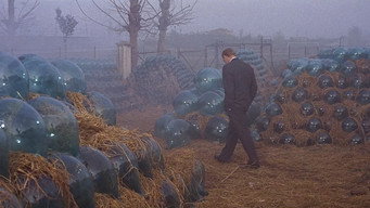 #33 Червона пустеля