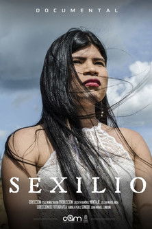 Sexilio poster