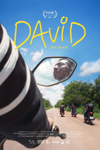 David (For Now) (2024)