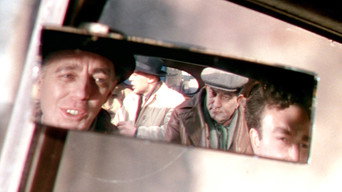 #13 Убивці леді