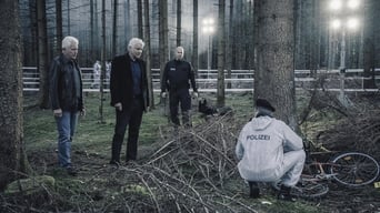 Tatort - 42x01