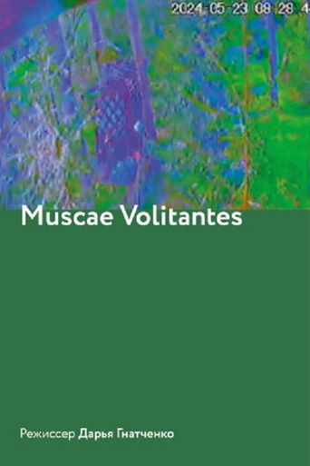 Muscae Volitantes poster