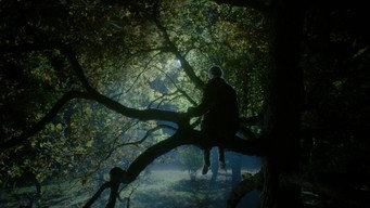 Nightingale media image