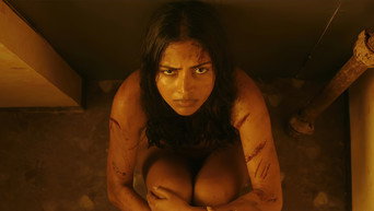 #8 Aadai