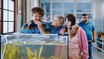 Золота рибка (2019)