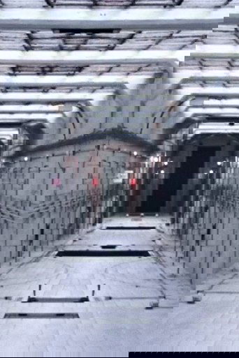 Lo-Tech Reality poster