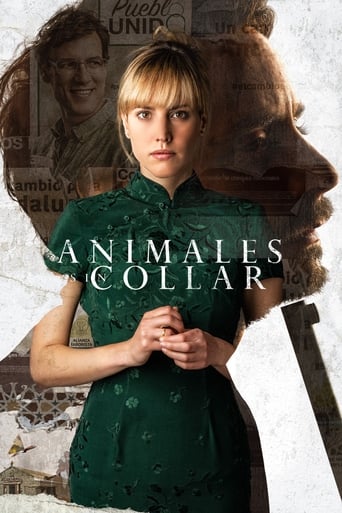 Poster of Animales sin collar