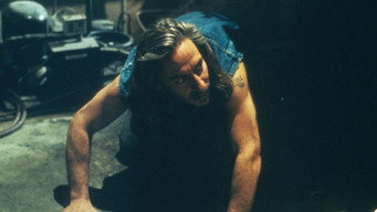 Twin Peaks (1989)