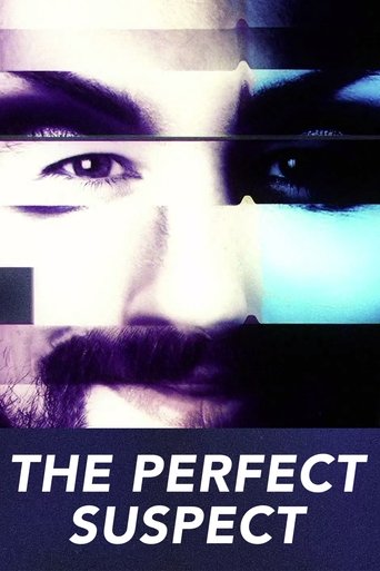 The Perfect Suspect: Season 1