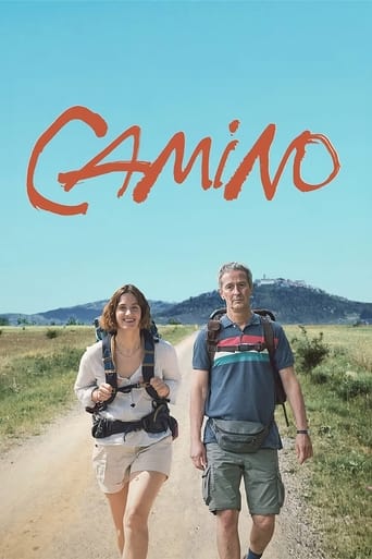 Poster of Camino