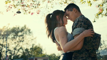 Purple Hearts backdrop 4