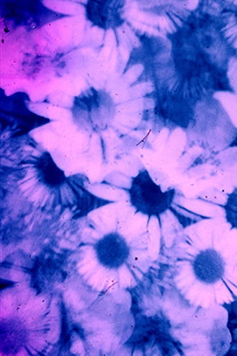 Petal to the Metal poster