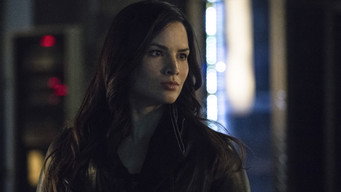 Katrina Law — photo 7