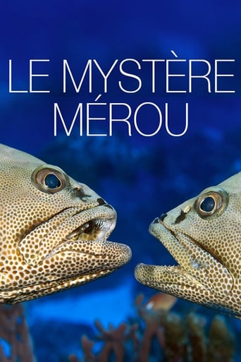 Poster of Le Mystère Mérou