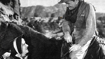 Yellow Dust (1936)