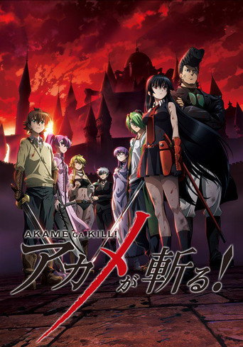 Akame ga Kill! — Pósters 17