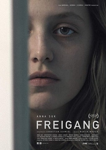 Poster of Freigang